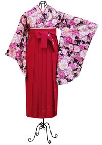 卒業式袴レンタルD